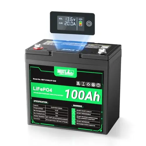 12V 100Ah LiFePO4 Battery, Group 22NF Mini, BMS, LED Meter, 1280Wh