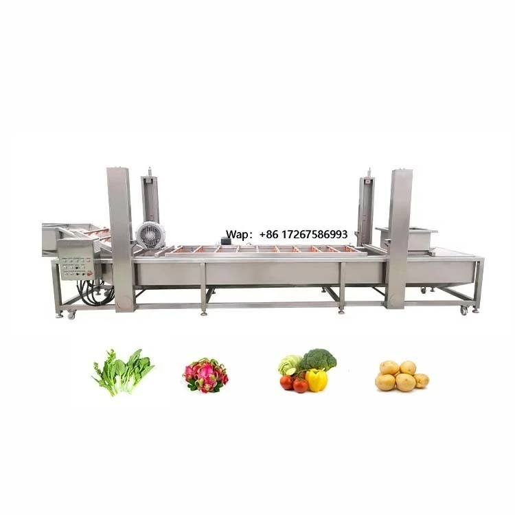 Heavy Duty Vegetable Fruit Cleaning and Sorting Line with Adjustable Speed for Mass Production
