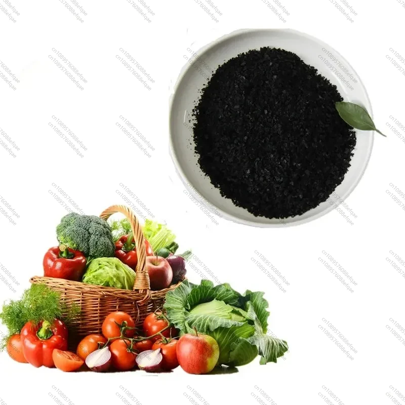 Excellent Quality Advanced Nutrient Hydroponic Seaweed Extract Powder Fertilizer For Improving Soil