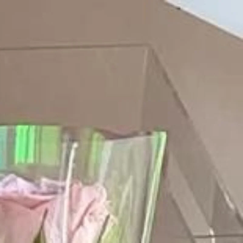 30pcs Transparent Rose Packaging Bags Flower Bouquet Plastic Bag Bouquet Wrapping Paper One Straight Bag Flower Packagin