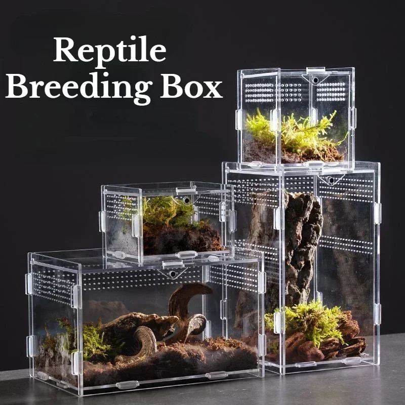 Acrylic Transparent Reptile Terrarium Breeding Box Turtle Cage Nano Arboreal Tarantula Enclosure Dearded Dragon Reptiles Habitat