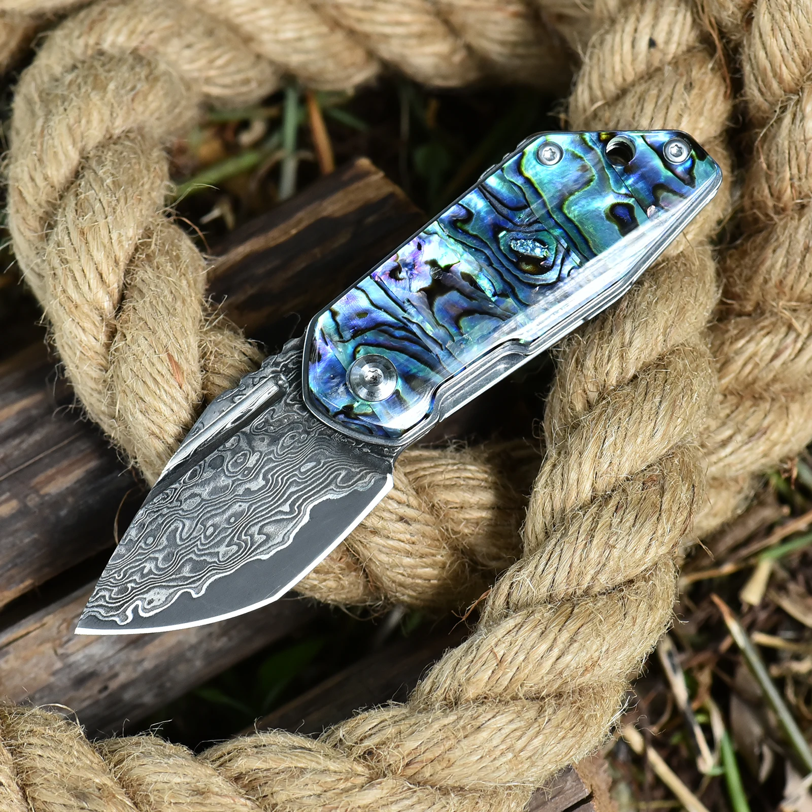 

Small Damascus Folding Knife VG10 67 Layers Damascus Steel EDC Keychain Mini Pocket Knife outdoor fishing knife for Women Men