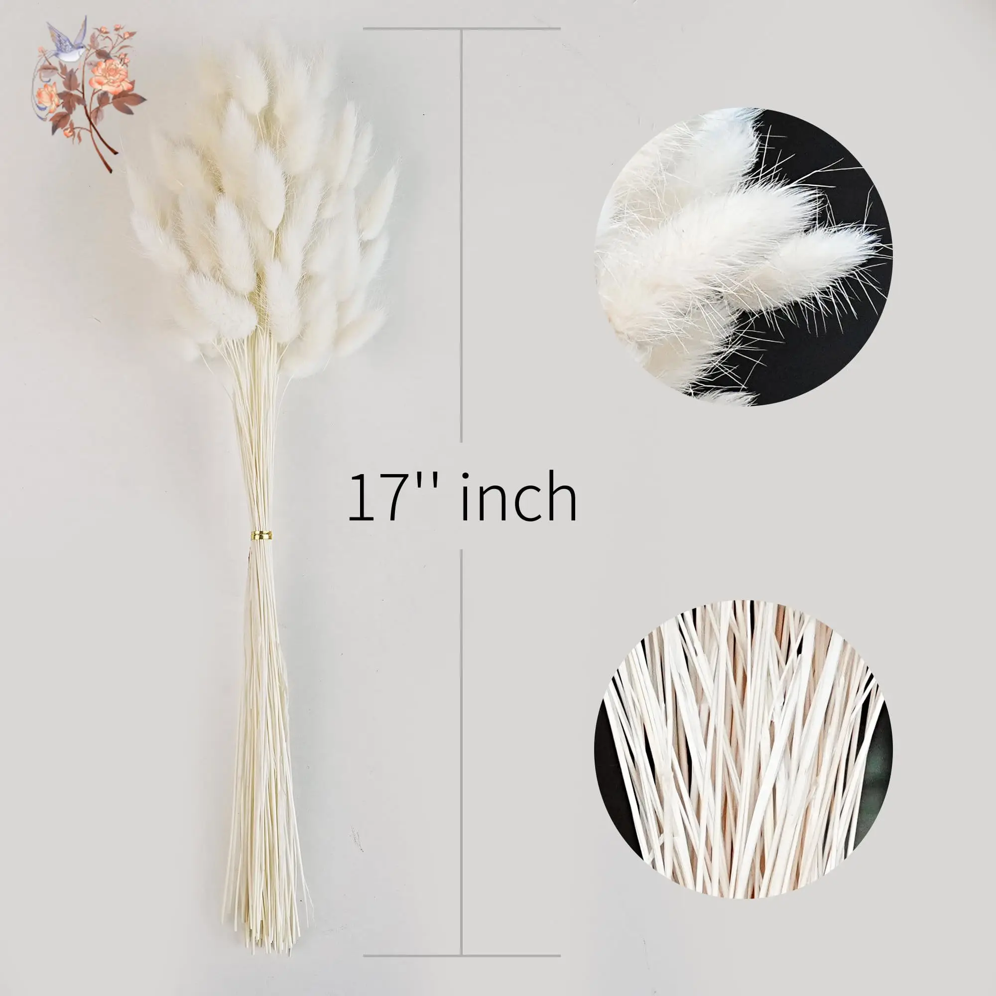 120 Uds. De colas de conejo blancas naturales, decoración de hierba, pompas, flores secas florales, hierba de Pampas para decoración de jarrón de mesa de boda bohemio para el hogar