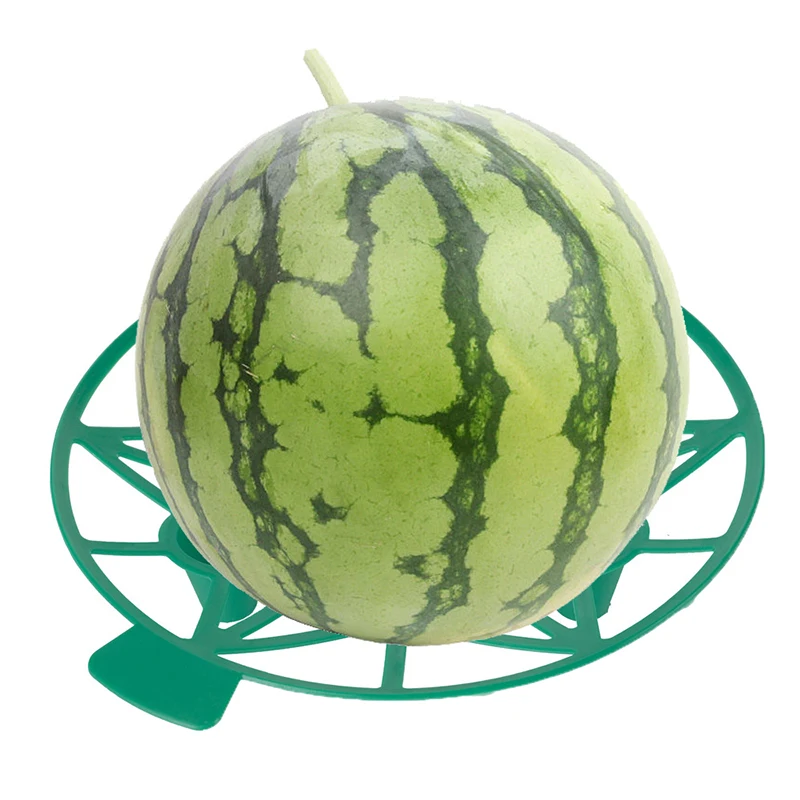 10 Buah Dudukan Semangka Buah Berdiri Keranjang Penyangga Bingkai Rak Baki Tanaman Sayuran Tempat Pelindung Labu Squash Melon