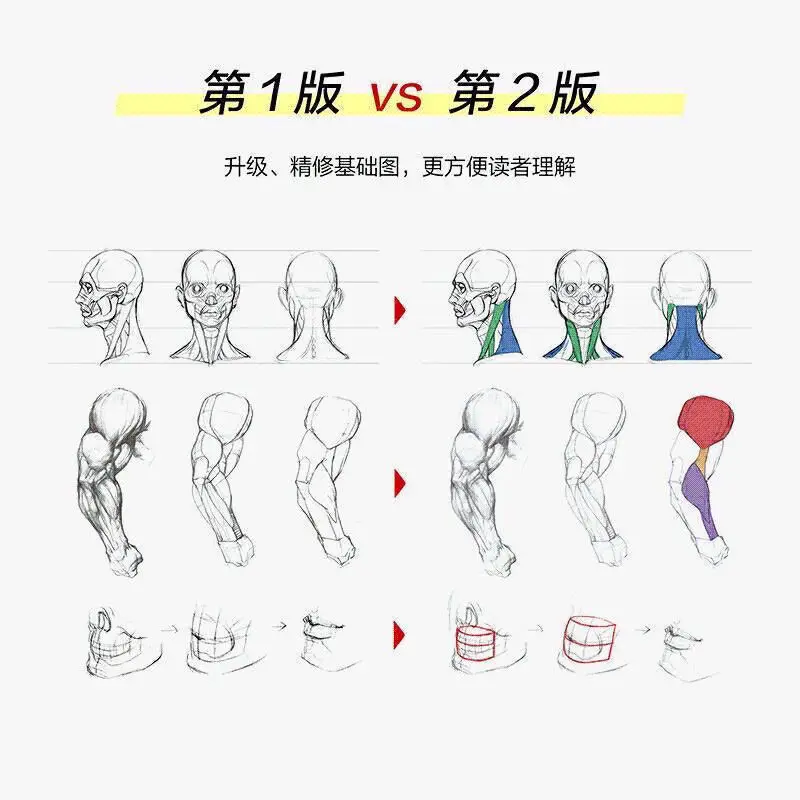 Imagem -05 - Ensinando os Princípios da Estrutura Humana e Jogo de Desenho Animação Modelagem Desenho à Mão Habilidades Livros