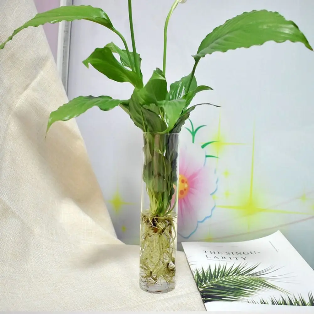 Fish Tank Home Decorations Wall-mounted Purify House Irregular Shape Hydroponic Vase Flower Vase Plant Container Flower Pot