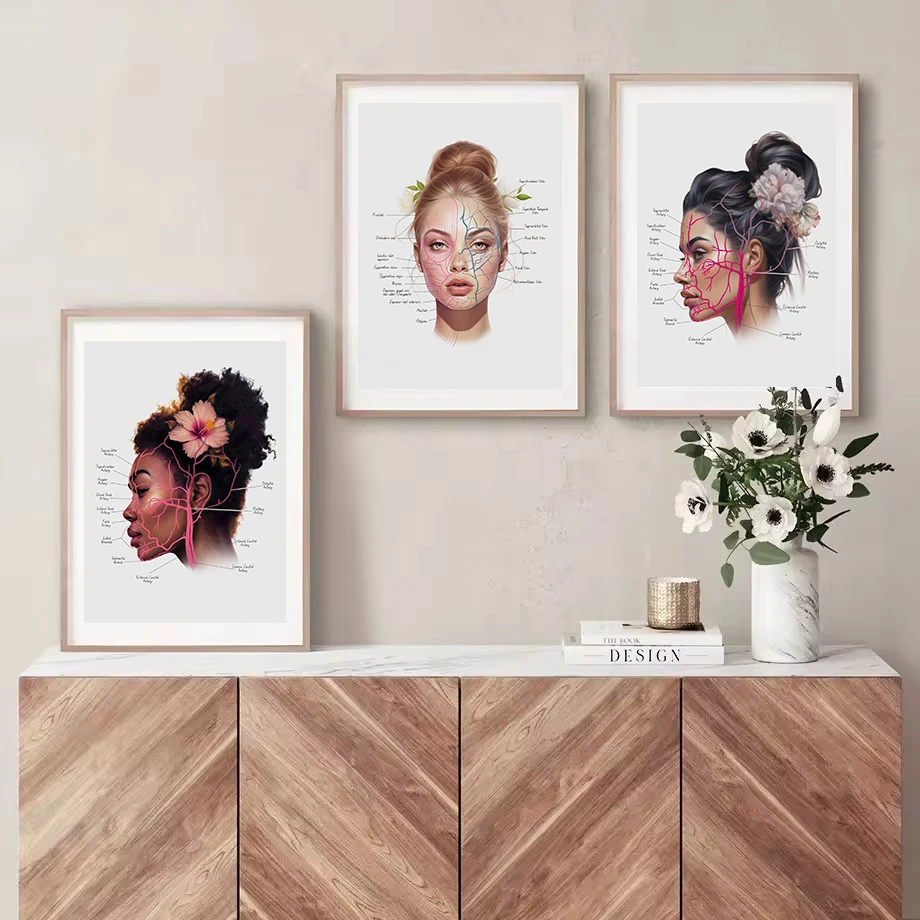 تشريح الوجه عضلات الوجه والفينز تجميل سبا صالون الطبية الجمالية المشارك حائط لوح رسم الفن صور ديكور المنزل هدية