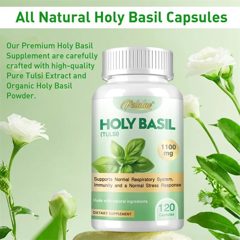 

Holy Basil Capsules - Enhance Immunity, Relieve Stress, Relax The Body and Mind, Improve Vitality and Energy Levels Vegan