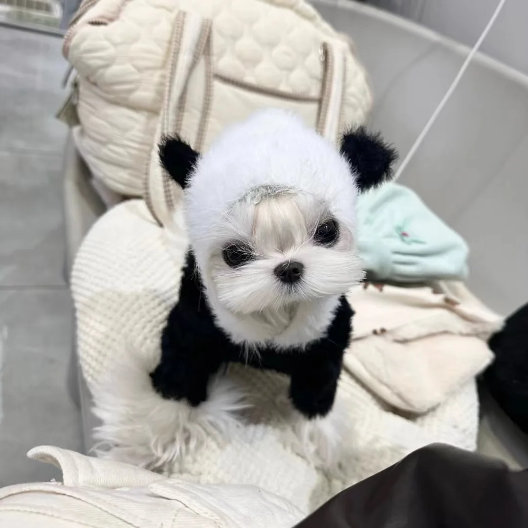

Pet Dog Costume Panda Suit Cosplay Stylish Pet Clothing Breathable