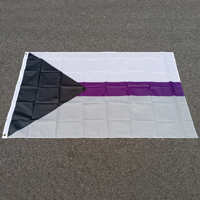 aerxemrbrae   90x150cm LGBTQIA Ace Community Asexuality Pride Demi-asexual Flag