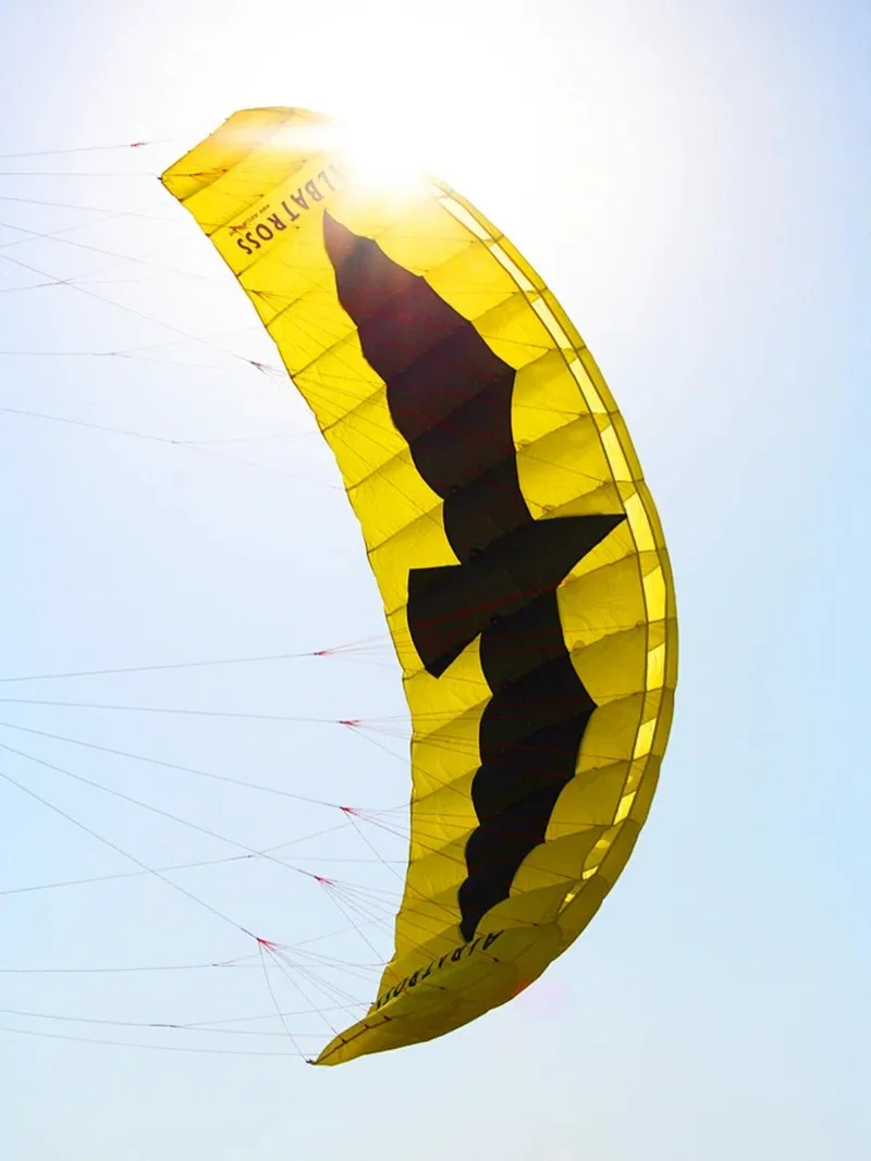 5m2 grande quad line power kite para adultosnylon tecido jouer mostrar pipa gigante jogos ao ar livre pipa surf power kite dragon fly diversão