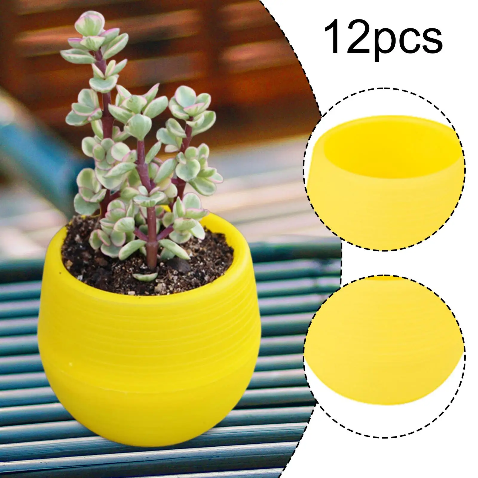 12 Pieces Small Flower Pots Planters Multifunctional Flowerpots Containers for