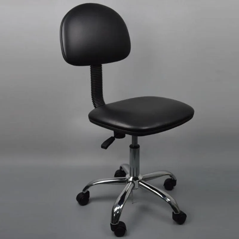 

School office back chair, anti-static lift stool, laboratory dust-free workshop work chair