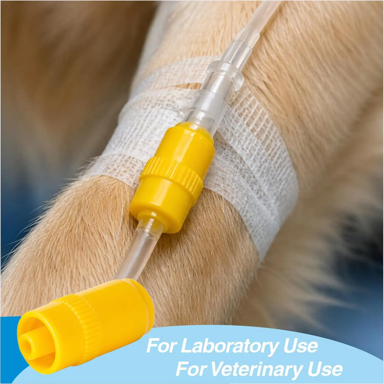 Heparin-Kappe für IV-Einwegkatheter, geeignet für Hunde, Katzen und andere Haustiere, Veterinärbedarf – Detail 7