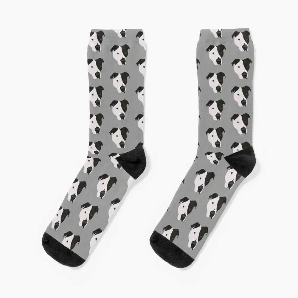 Chaussettes de sport pour hommes et femmes, Freddie The Pit Bull, Hip Hop Parker, Nouvel An