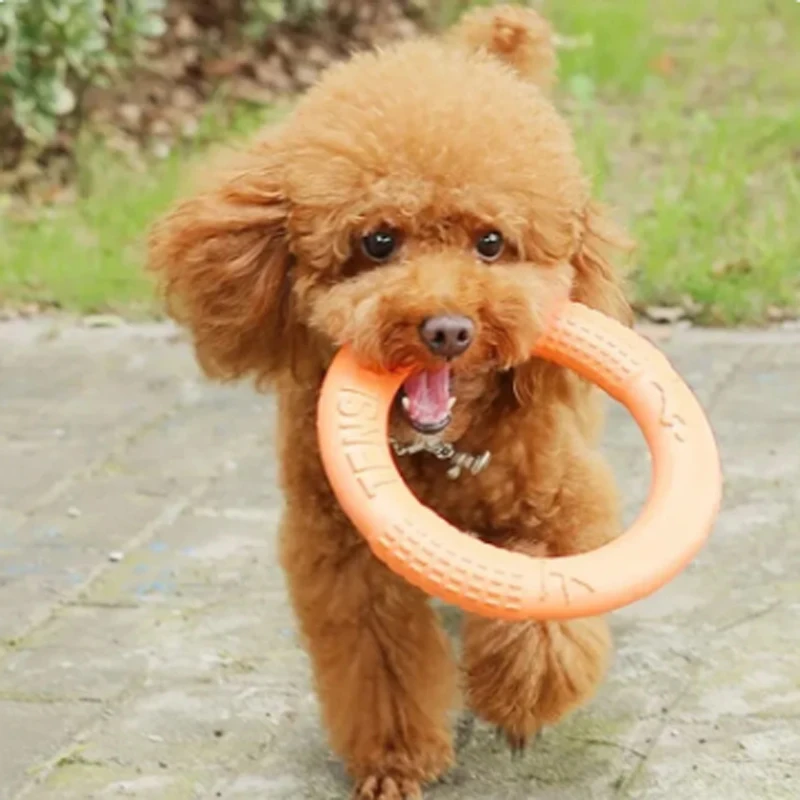 BOOTEELY 1pc Orange Dog Toys Pet Flying Disk Training Ring Puller EVA Interactive Training Ring Puller Resistant for Dogs