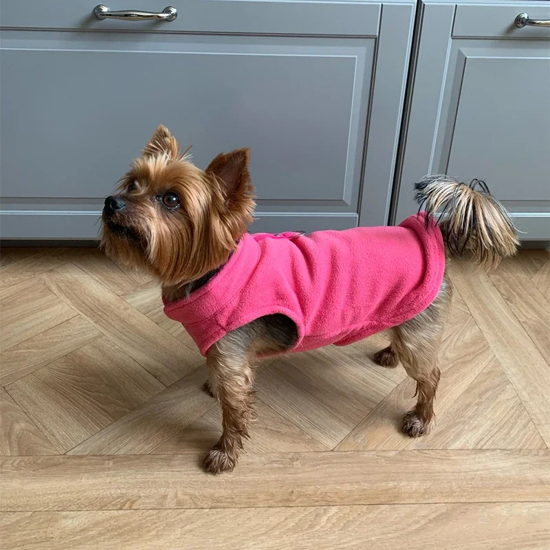 Hundebekleidung, Wolljacken, Chihuahua-Kleidung & Zubehör, Kostüme für Hunde, Bulldoggen, Haus & Garten, Frankreich, Wärmeweste für Welpen – Detail 13