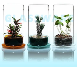 VIV Plant Micro Landscape Plant Bottle Creative Tank Exquisite Elegant Desktop Plants Aquascape Breathable Moisturizing