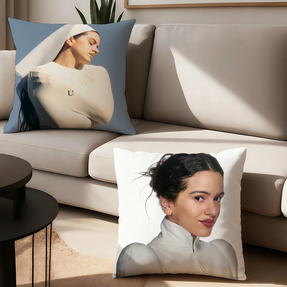 

Singer Rosalia LUX Pillow Case Office Cushions Suitable For Sofa Car Bedroom Decorative Cushion Cover