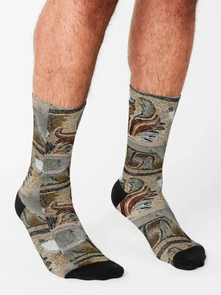 Roman mosaic preserved in Aix-en-Provence cathedral Socks new year anti-slip gifts hiphop Woman Socks Men's