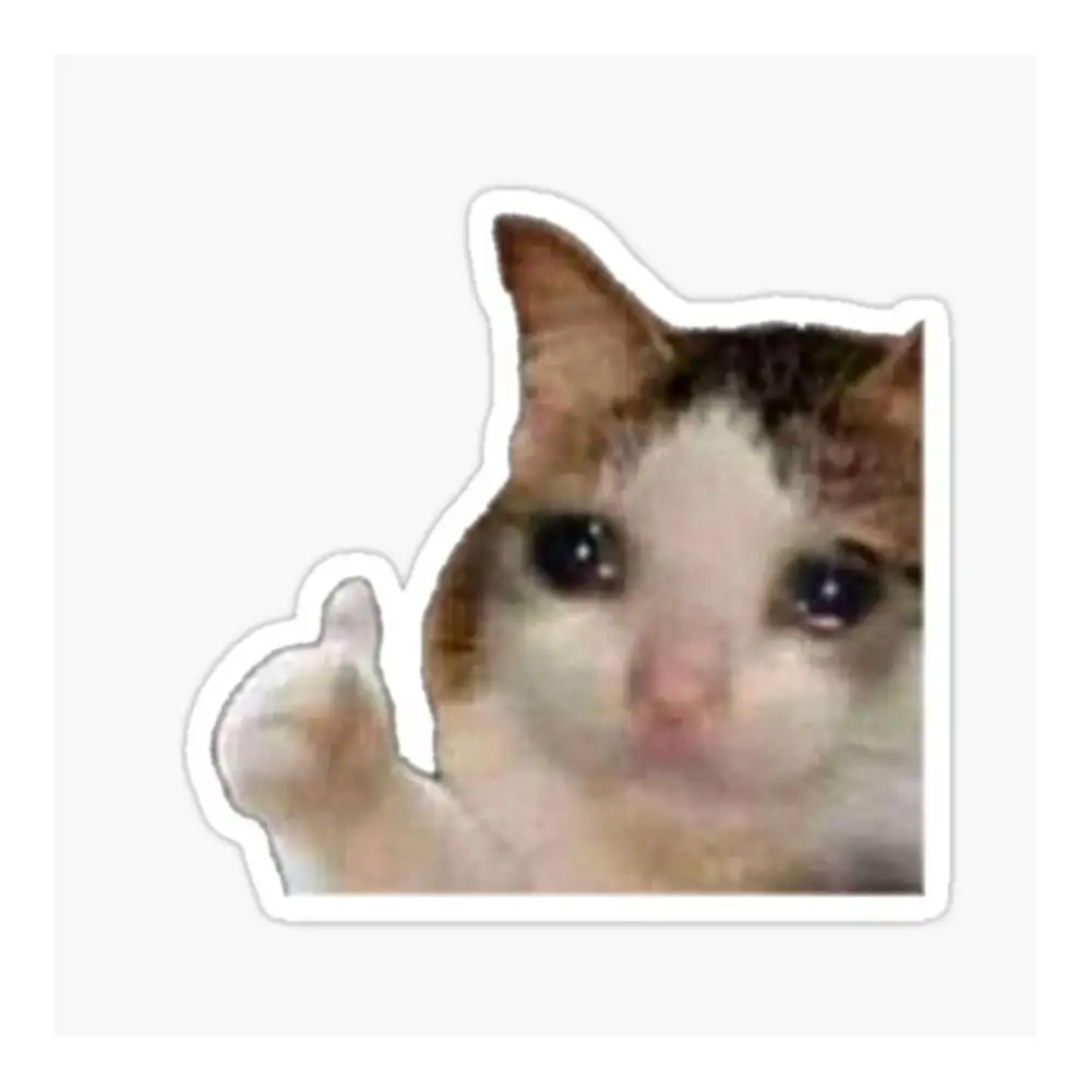 Cat Crying Meme Sticker Helmet Flask Cup Laptop Car Vehicle Window Bumper Decal