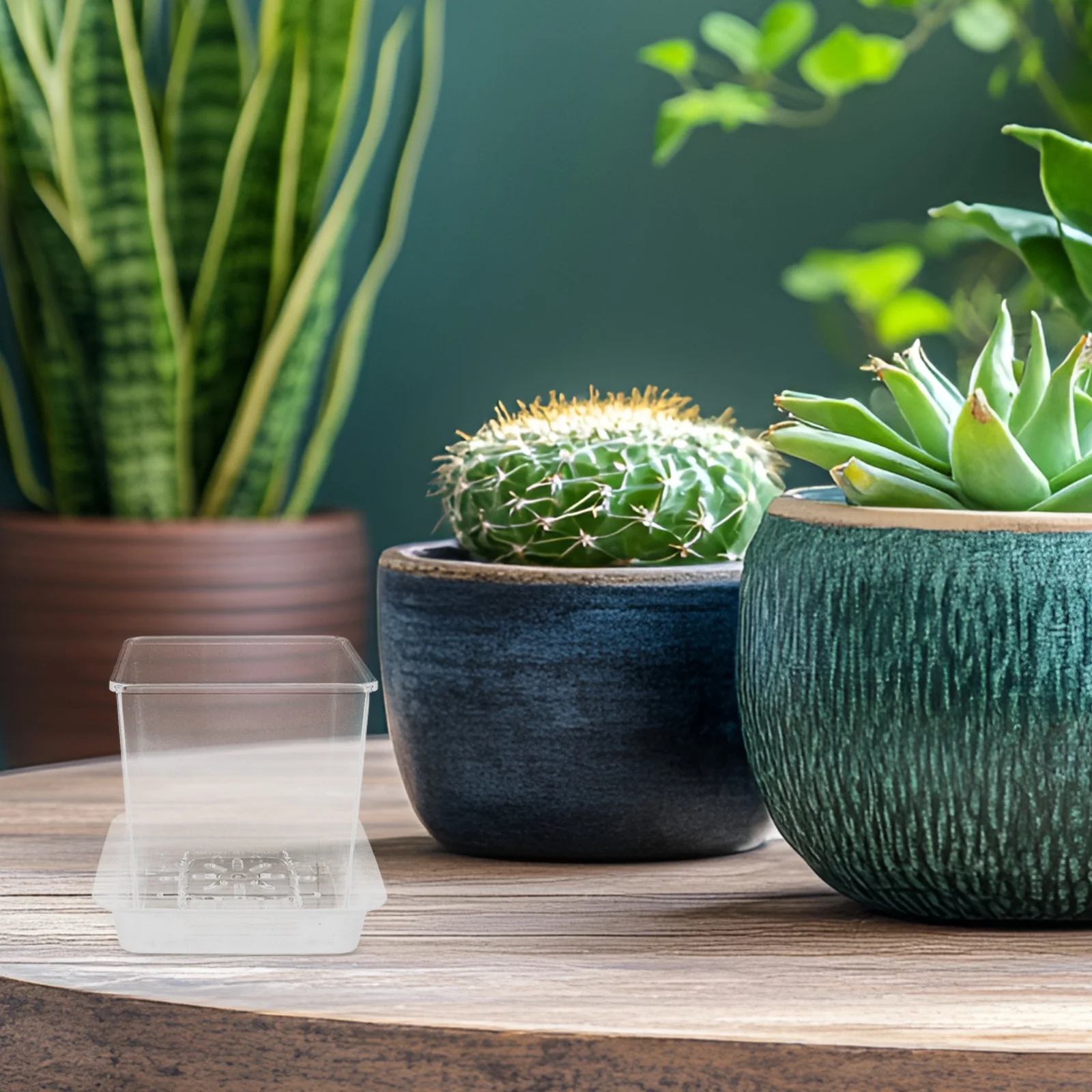 

1 Set Mini Plant Pot For Kids Clear Hydroponic Planter With Drainage Hole Saucer Indoor Gardening Transparent Plastic Flower