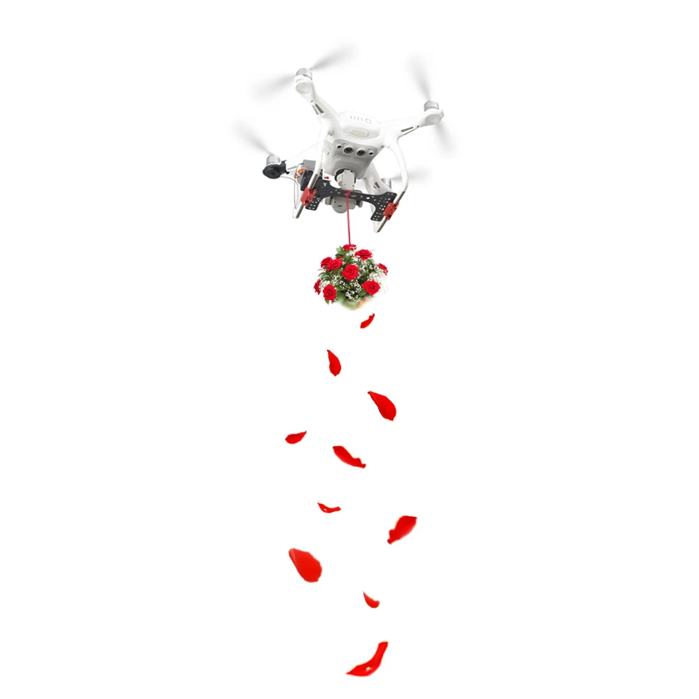 double-release-thrower-drone-shinkichon-pelter-fish-bait-advertising-ring-air-dropping-for-dji-phantom-4-4p-4a-v20