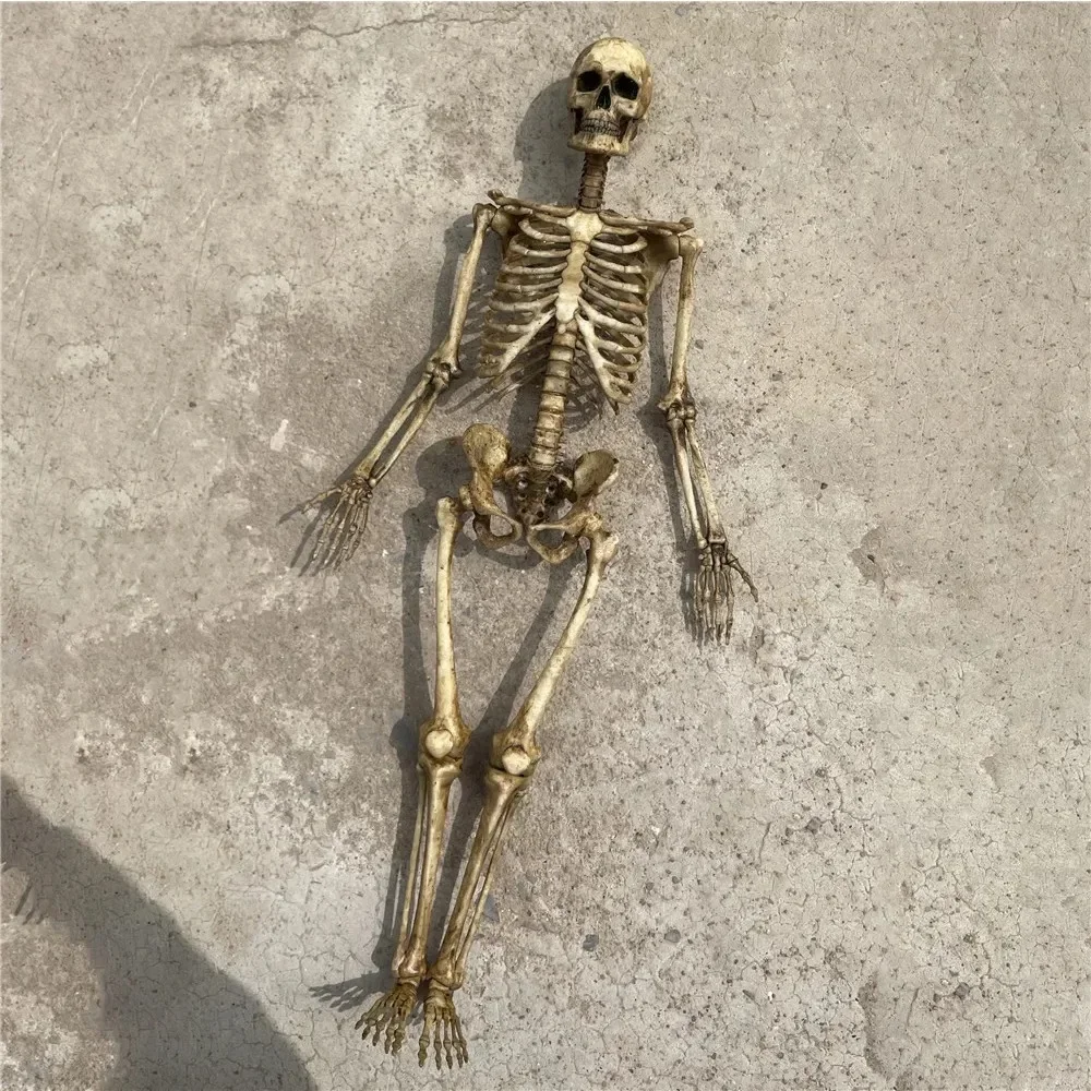 1:12 hochwertige Skelett-Miniaturen-Figuren, Totenkopf-Miniaturmodell für Zuhause, Puppenhaus, Halloween, Pflanze, Aquarium-Dekoration