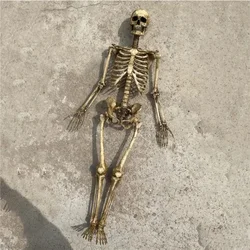 1:12 High Quality Skeleton Miniatures Figurines Skull Miniature Model for Home Dollhouse Halloween Plant Fish Tank Decoration