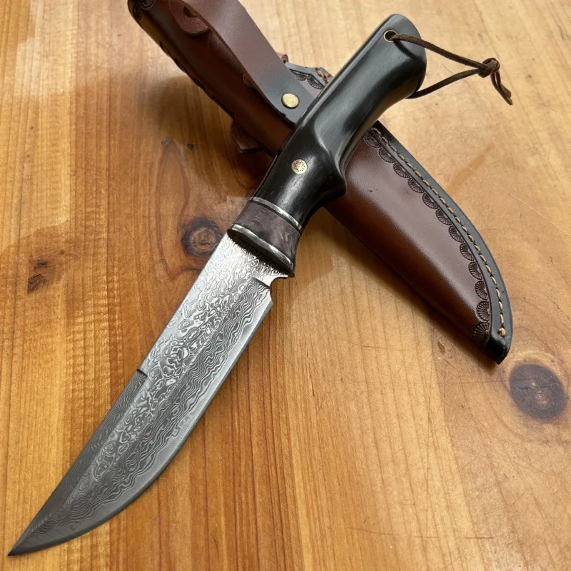 VG10 Damascus Fixed Blade Knife Portable Fruit Meat Kitchen Cutlery Collectible Handmade Small Knife with Knife Sheath view 4