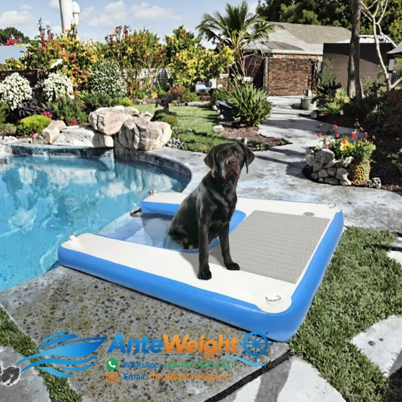 Inflatable Dog Boat Ramp PVC Non-slip Floating Platform Pet Water Ladder 60x40