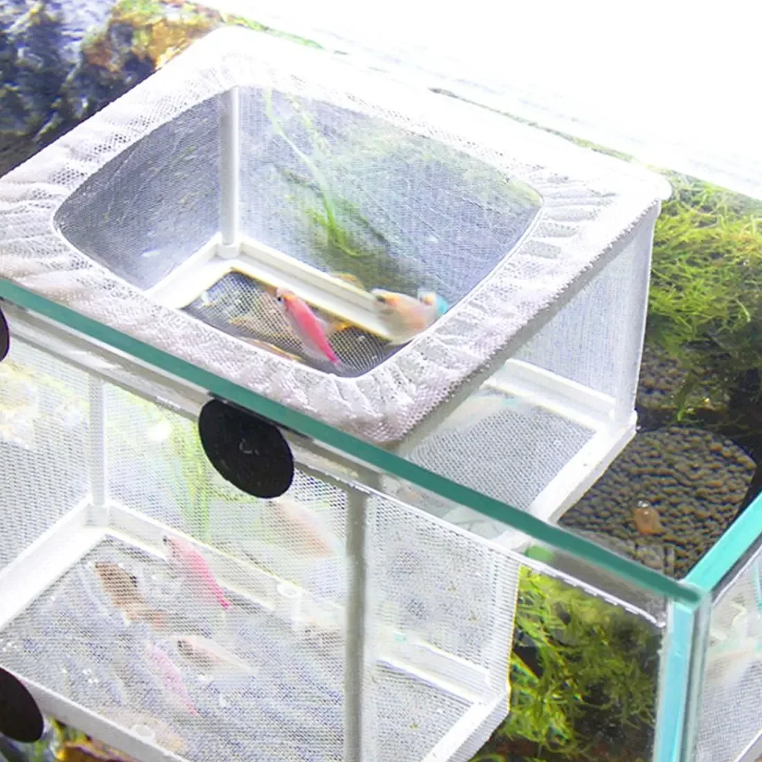 Injured Fish Breeding Incubator Net Hanging Fish Hatchery Isolation Box for Aquarium Accessory Separate isolation Fish Tank M/L