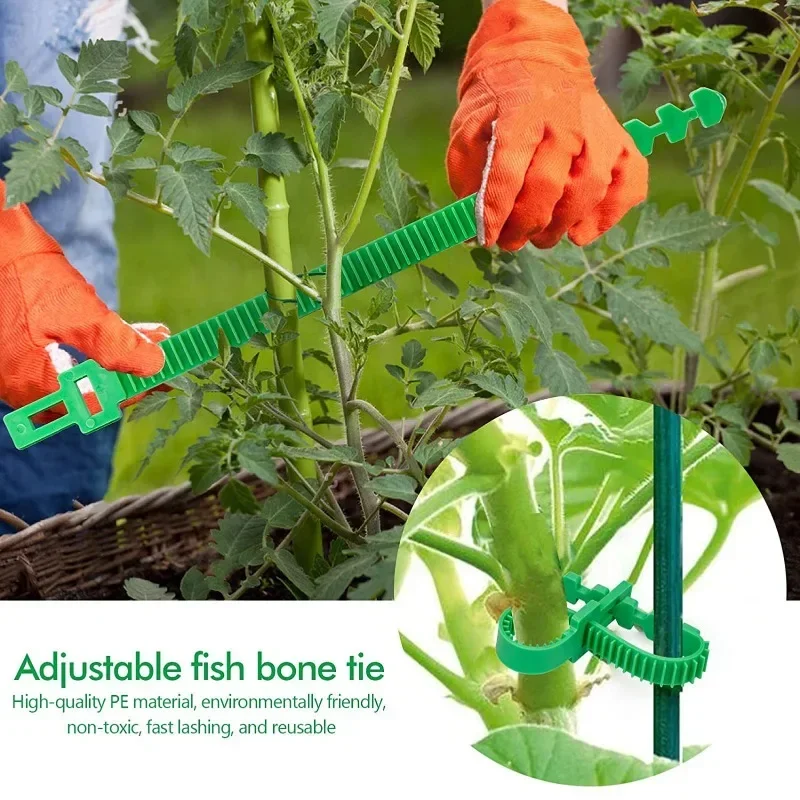 Reusable Plastic Garden Tree Binding Buckle, Vine Plant Securing Fastener, Adjustable Horticulture Bundling Clip, Outdoor Yard