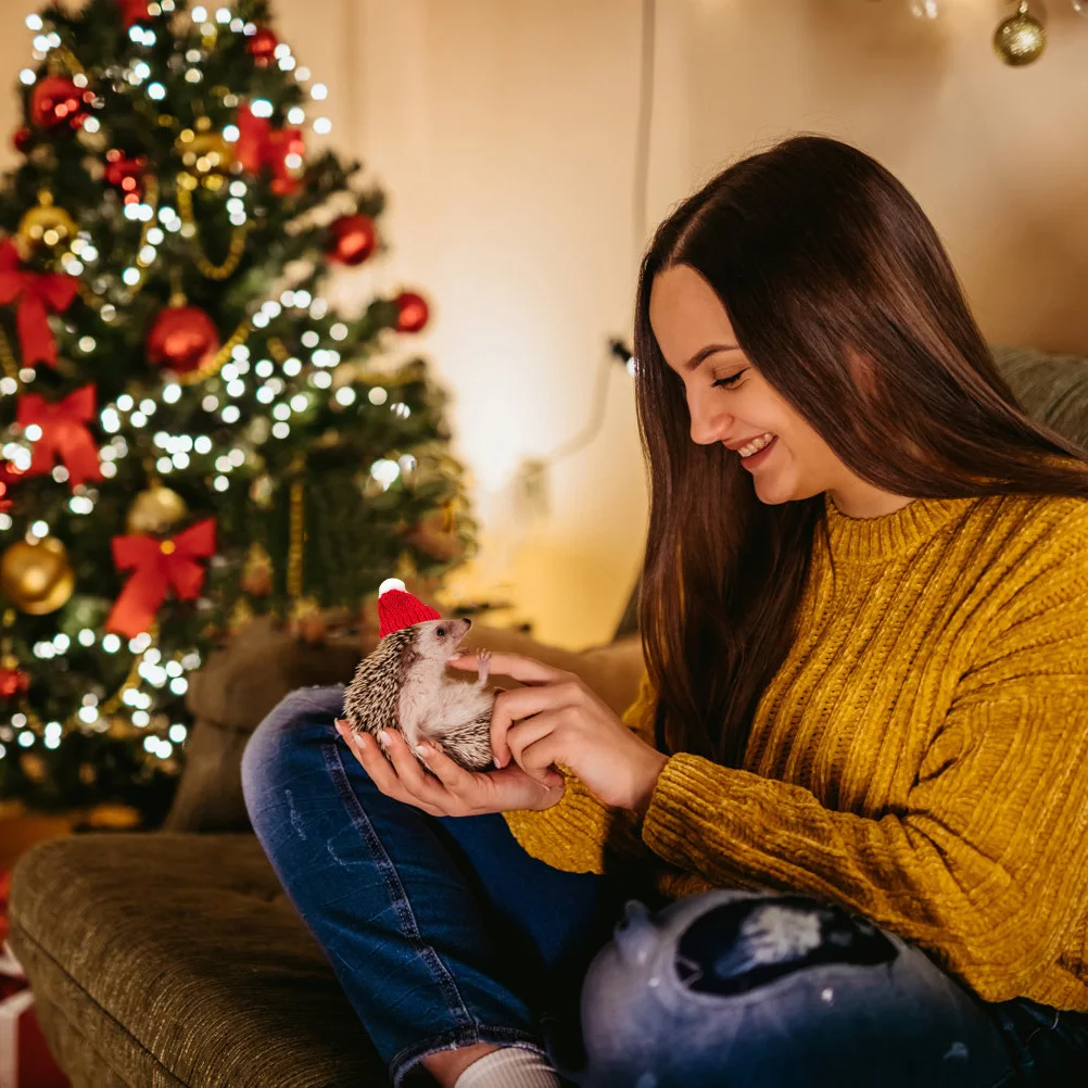 

10Pcs Mini Animal Christmas Pet Hats Soft Durable Knitted Headgear for Pet Decoration Photo Props Adorable Cap