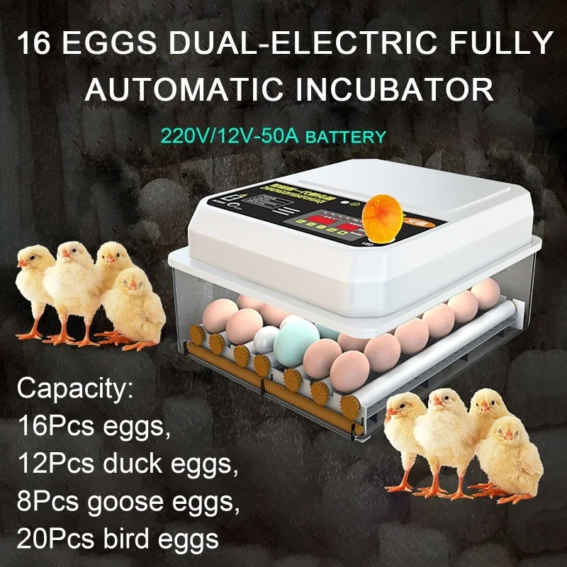 

Dual Electric Egg Incubator 16 Eggs Incubator With Drawer Type With Automatic Water Ionic Replenishment Temperature Control