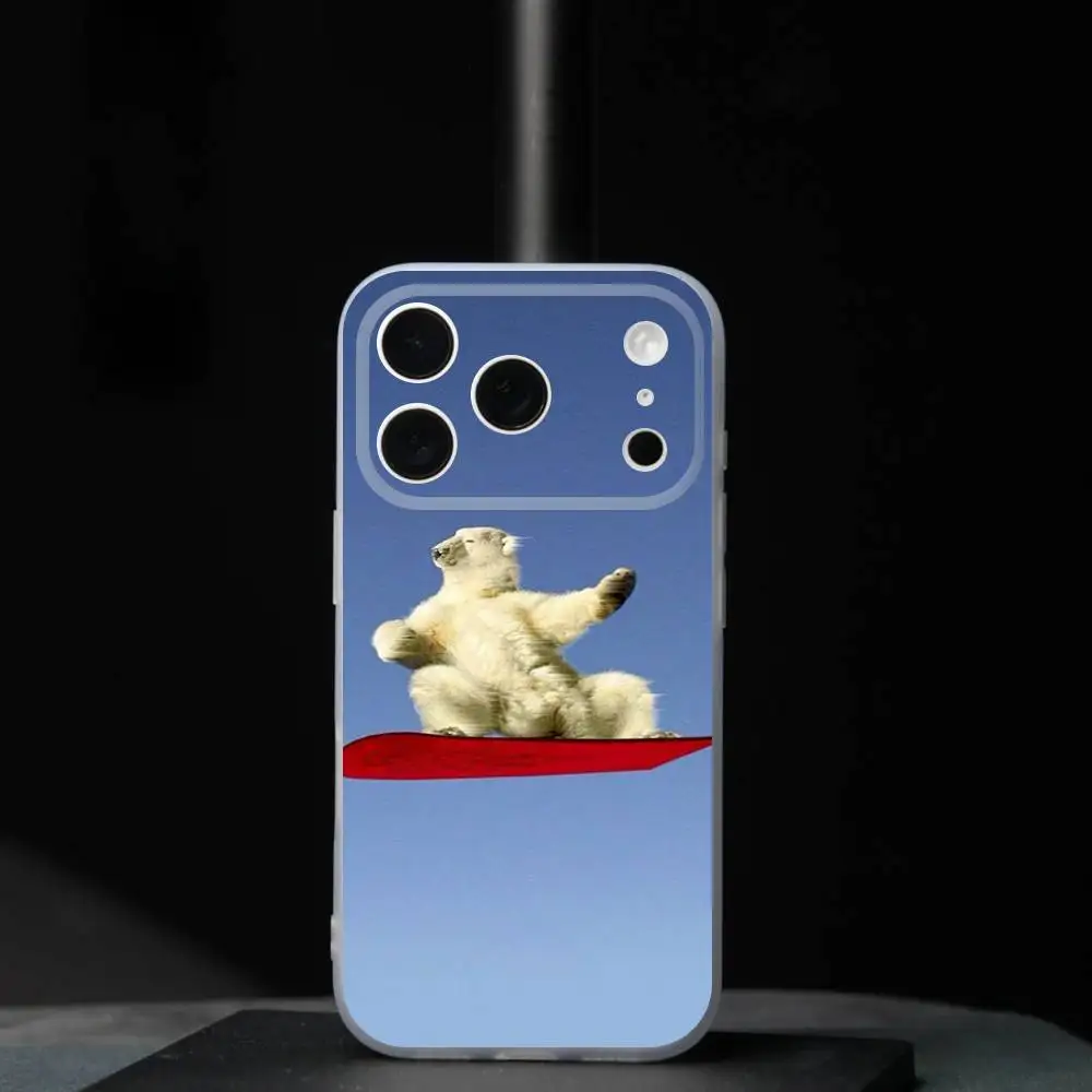 Sneeuw M-Mountain Skiën Ski Voor iPhone 11,12,13,14,15,16,17,Pro,Max,Plus,Mini,SE4,E Telefoon Case Magnetisch Voor Magsafe Wireless