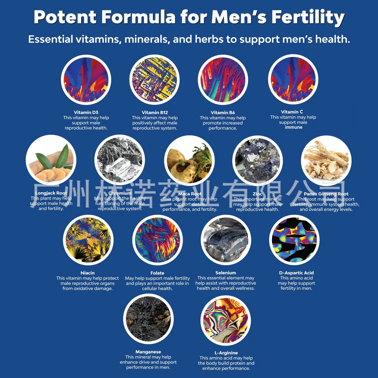 Male fertility support gummies, dietary supplement for the maintenance of physical condition