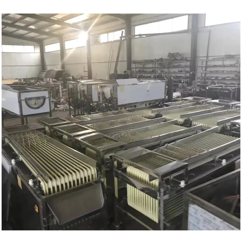 Stainless Steel Fruit Size Sorter Automatic Cherry Tomato Grading Sorting Machine