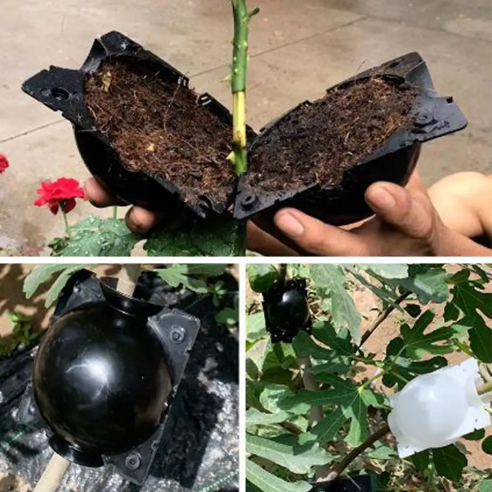 

5 pieces of plant rooting ball grafting rooting box breeding box plant root growing box garden 5/8 cm diameter planting tool