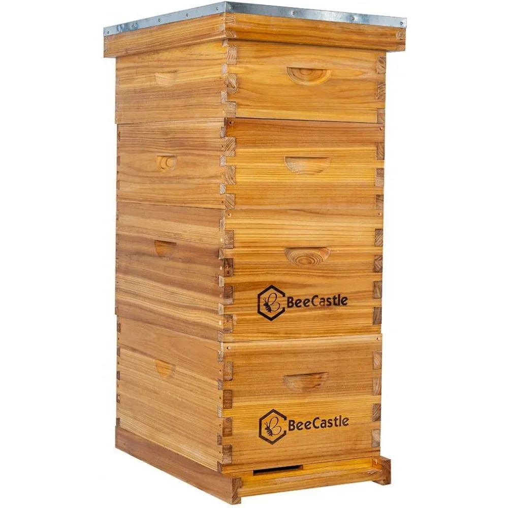 

8 Frame Langstroth Bee Hive Coated with 100% Beeswax Includes Beehive Frames and Waxed Foundations (2 Deep Boxes & 2 M