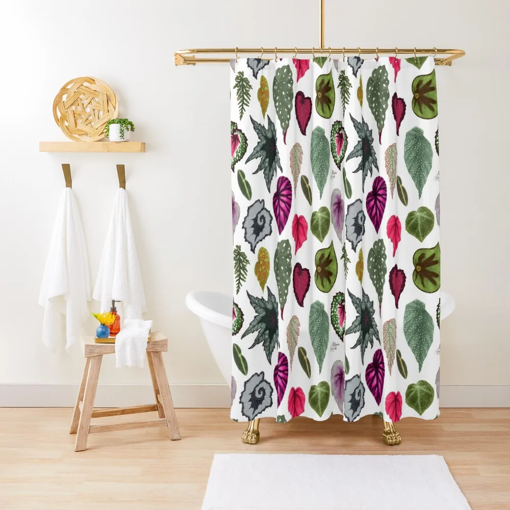

Begonia leaves species varieties art print botanical illustration Shower Curtain Bathroom Box Modern Accessory Bathrooms Curtain