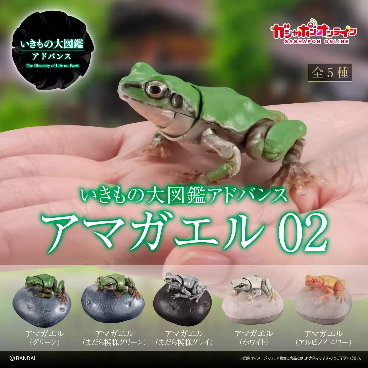 

Bandai Original 5Pcs Premium Gashapon アマガエル０２ Action Figure Toys For Kids Gift Collectible Model Ornaments