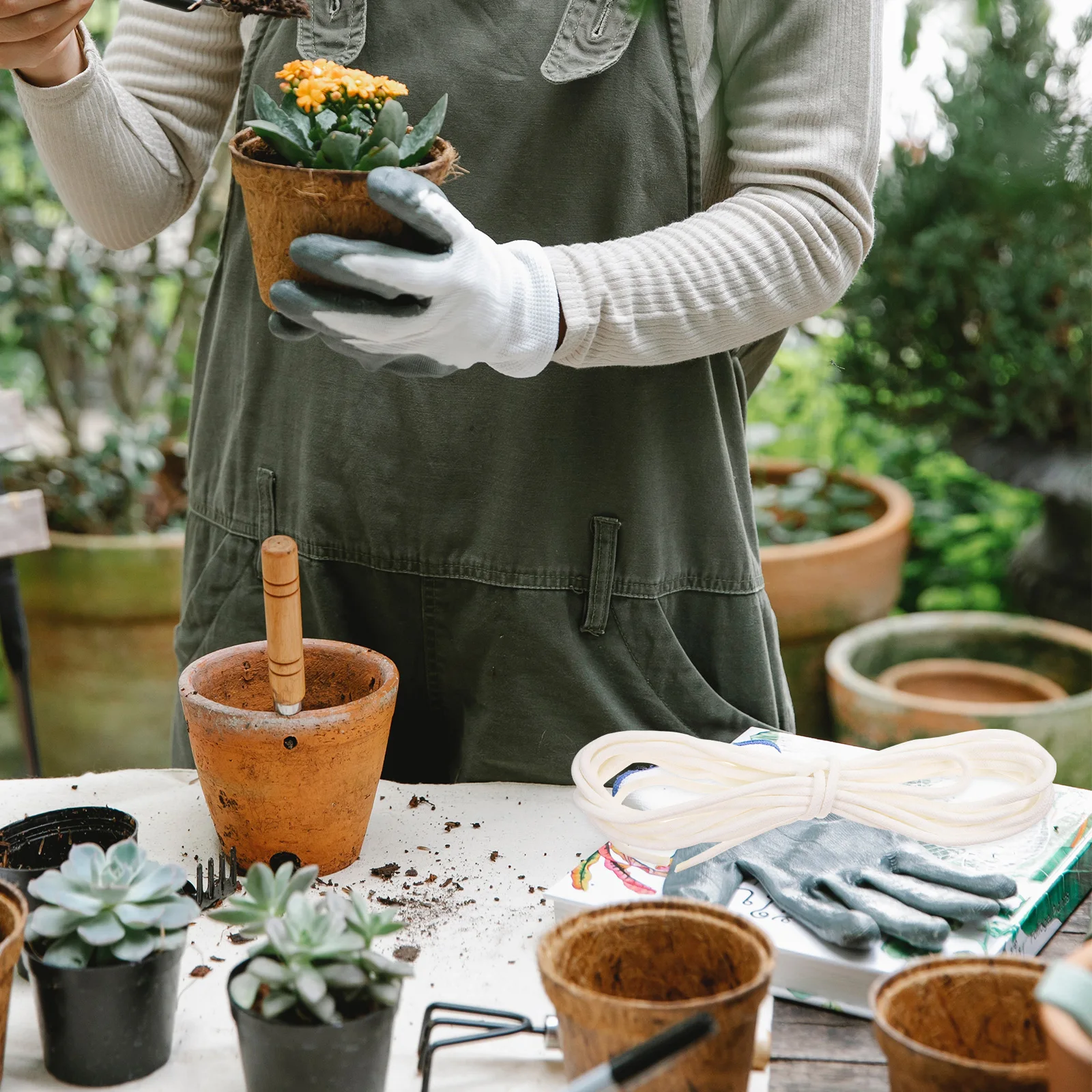 Picture 7: Automatic Watering Cotton Rope Absorbent Wick For Potted Plants Hydroponic Wicking String - Garden Irrigation Supplies