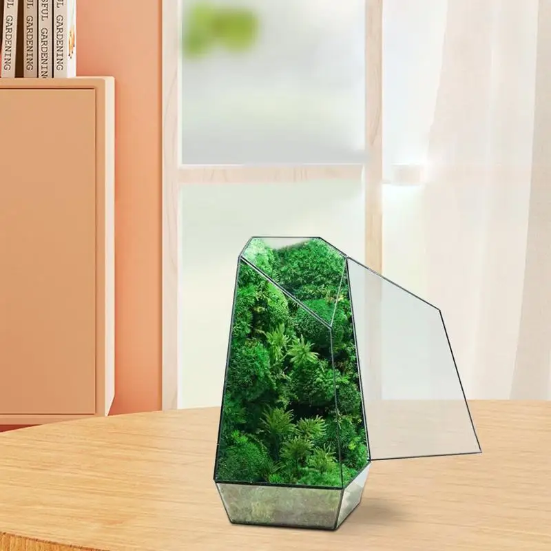 Geometryczne szklane terrarium z drzwiami Nowoczesna ręcznie robiona szklana doniczka z drzwiami 25 cm Ręcznie robiona szklana doniczka mała