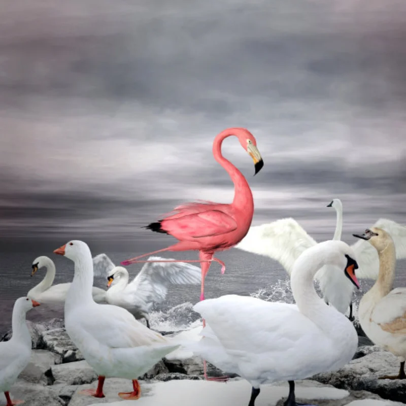 

4 шт., 55 мм 1,0 дюйма, мягкая резиновая колесная шина, грязевая шина для 1/18 1/24 RC гусеничного автомобиля TRX4M SCX24 AX24, обновленные детали, аксессуары