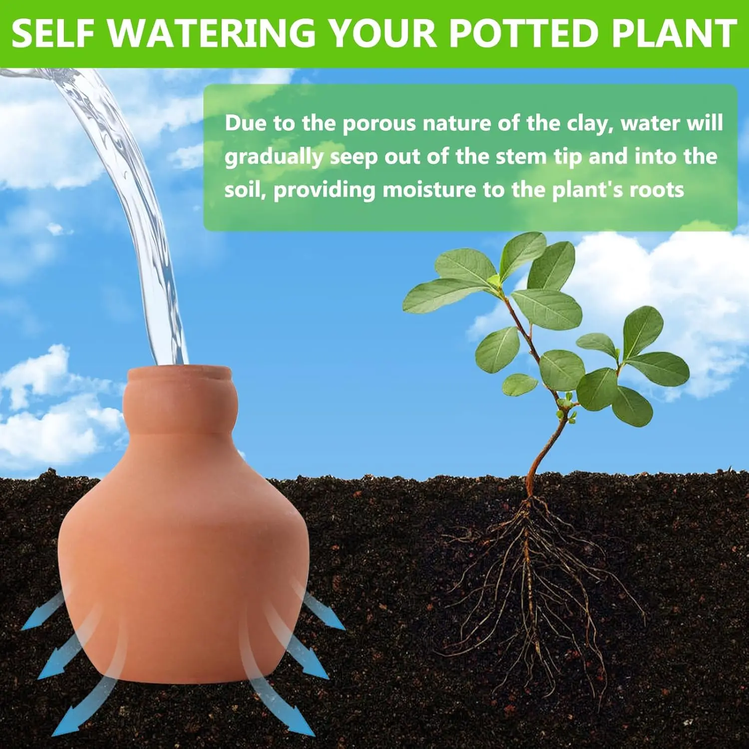 Thumbnail 4 - #2 Compare Watering Globes Before You Buy