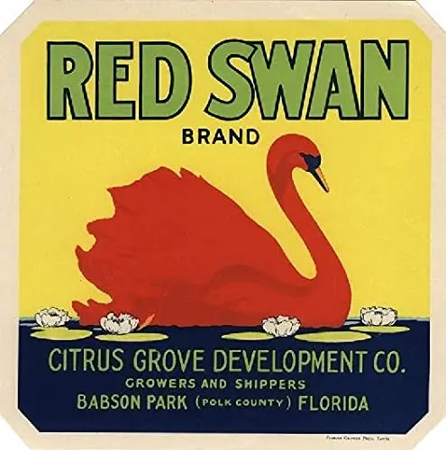 TYmall Wall Plate Metal Tin Signs Babson Park Florida Red Swan Orange Citrus Fruit Crate Label Print 8X8 Inch Square Vintage Met