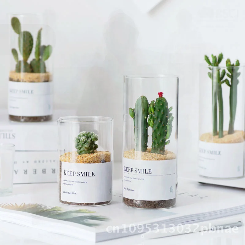 

Мини-стеклянный цветочный горшок из боросиликатного стекла в скандинавском европейском стиле, гидропонная ваза в горшке, прозрачный прямой миниатюрный горшок для дома