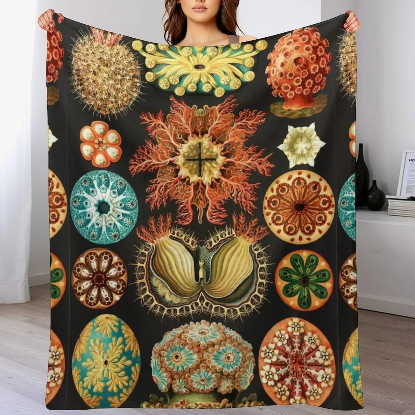 

Artforms in Nature by Ernst Haeckel Throw Blanket Multi Purpose Soft Warm Blanket for Home Travel