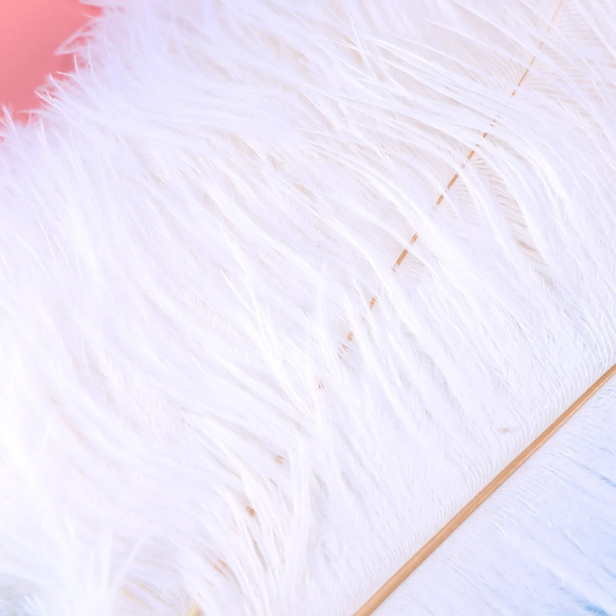 

10 Pcs Wedding Ostrich Mask Dinner Table Decor Costumes Decoration Plumes Bulk Ornaments